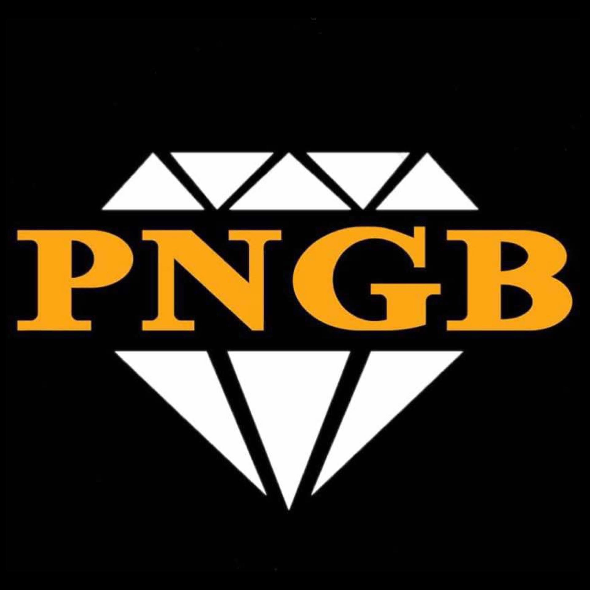 PNGB logo